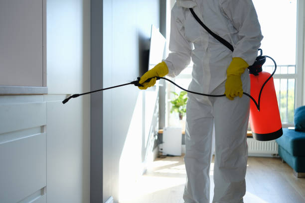 Best Mold Removal Company Near Me  in Rexburg, ID